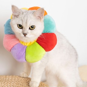 Elizabethan Collar Supplier - Cotton Soft Edge Anti Bite