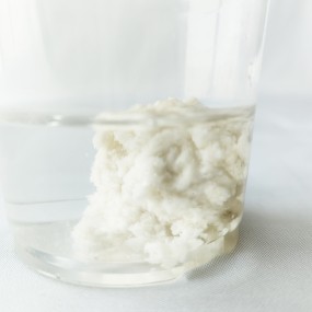 Tofu Cat Litter Wholesale - OEM 2kg 5kg 10kg Strip Shape Custom