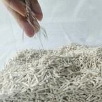 植物豆腐猫砂厂家-薰衣草香型定制