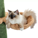猫树供应商-木质仙人掌设计大型