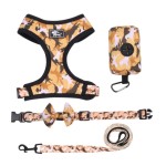 Pet Accessories Set Supplier - Camouflage Collar Leash