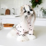 Dog Clothes Supplier - Lacework Pet Apparel