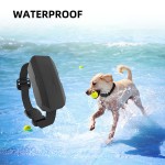 Pet GPS Collar Manufacturer - USB Charging Tracker