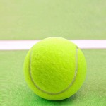 Dog Tennis Ball Manufacturer - Rubber Custom Logo