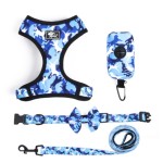 Pet Accessories Set Supplier - Camouflage Collar Leash