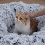 猫隧道厂家-毛绒折叠可压缩