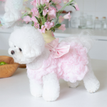 宠物礼服供应商-奢华狗饰品