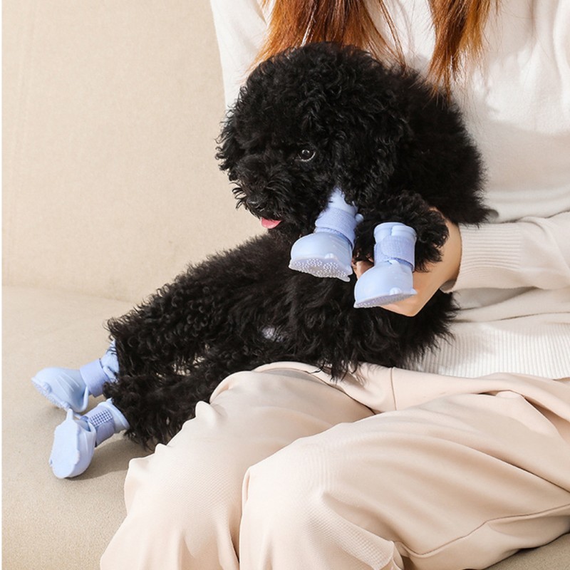 Pet Shoes Manufacturer - Waterproof Anti-slip Cat