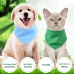 Pet Bandana Manufacturer - Custom Logo Design Blank
