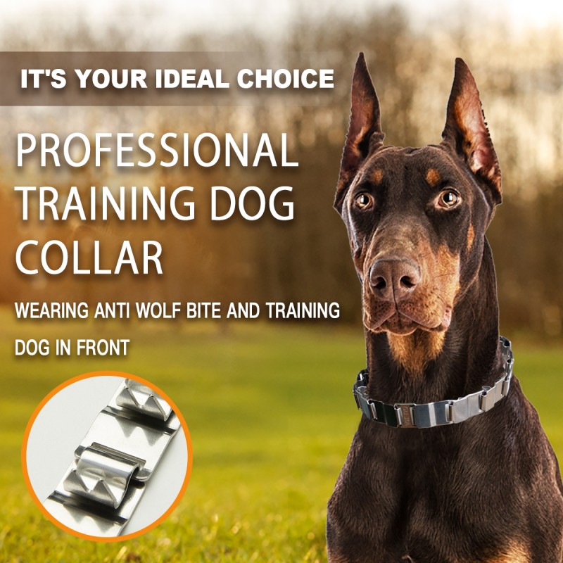 狗项圈厂家-训练用不锈钢