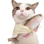 Cat Cuddly Toy Supplier - Plush Fish Design Catnip
