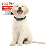 Cat Collar Supplier - Adjustable Cheap Multi-Pattern