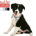 Dog Collar Supplier - Stainless Steel Training