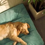 Dog Cushion Manufacturer - Washable Detachable Large