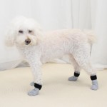 宠物鞋厂家-舒适保护爪部