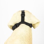 Dog Muzzle Manufacturer - Multi-size Black Adjustable