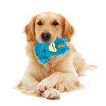 Dog Toy Manufacturer - Plush Squeaky Chew Feeder