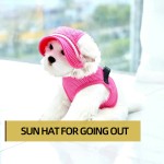 Dog Hat Supplier - Breathable Adjustable