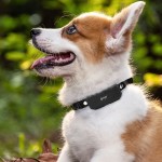 Pet GPS Collar Manufacturer - USB Charging Tracker