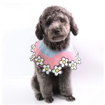 Pet Bandana Supplier - Lacework Cat Dog Accessories