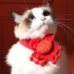 Pet Scarf Supplier - Red Warm Custom Logo