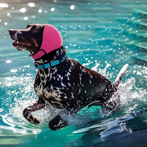 Dog Ear Muffs Factory - Noise Protection Adjustable