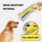 Dog Chew Toy Supplier - Plush Squeaky Custom