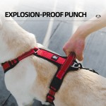 Dog Harness Manufacturer - Reflective Stripe Breathable