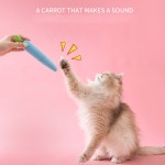 猫绳玩具供应商-胡萝卜造型发声