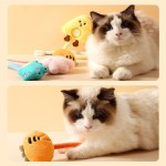 猫绳玩具厂家-猫薄荷可咬牙齿