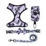 Pet Accessories Set Supplier - Camouflage Collar Leash