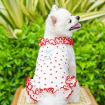 Pet Dress Manufacturer - Summer Floral Lace
