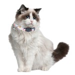 Cat Collar Manufacturer - Multi-Pattern Adjustable