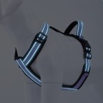 Dog Harness Manufacturer - Reflective Stripe Breathable