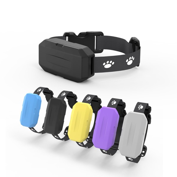 Pet GPS Collar Manufacturer - USB Charging Tracker