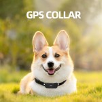 Pet GPS Collar Manufacturer - USB Charging Tracker