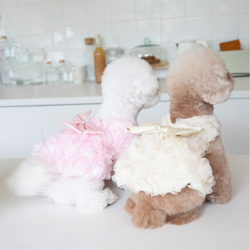 宠物礼服供应商-奢华狗饰品