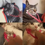 猫按摩器厂家-粉色ABS脸部按摩棒