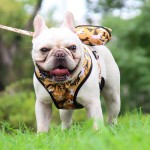 Pet Accessories Set Supplier - Camouflage Collar Leash