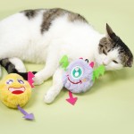Cat Plush Toy Supplier - Cute Squeaky Pet