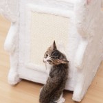 猫抓板厂家-兔子造型可拆