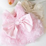 宠物礼服供应商-奢华狗饰品