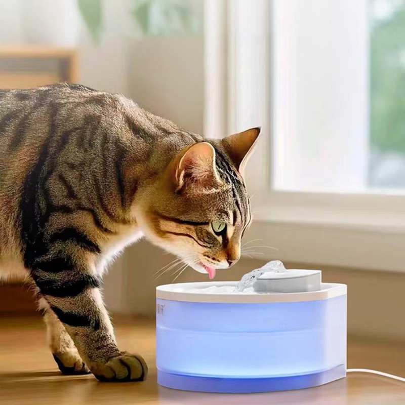 Pet Water Fountain Factory - Automatic Charging New