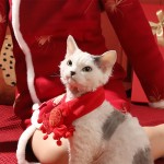 Pet Scarf Supplier - Red Warm Custom Logo