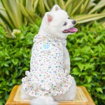 Pet Dress Manufacturer - Summer Floral Lace
