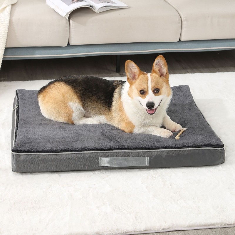 Dog Bed Manufacturer - Egg Memory Foam Washable