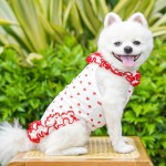 Pet Dress Manufacturer - Summer Floral Lace