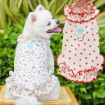 Pet Dress Manufacturer - Summer Floral Lace