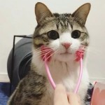 猫按摩器厂家-粉色ABS脸部按摩棒