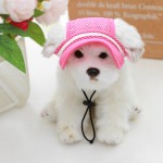 Dog Hat Supplier - Breathable Adjustable